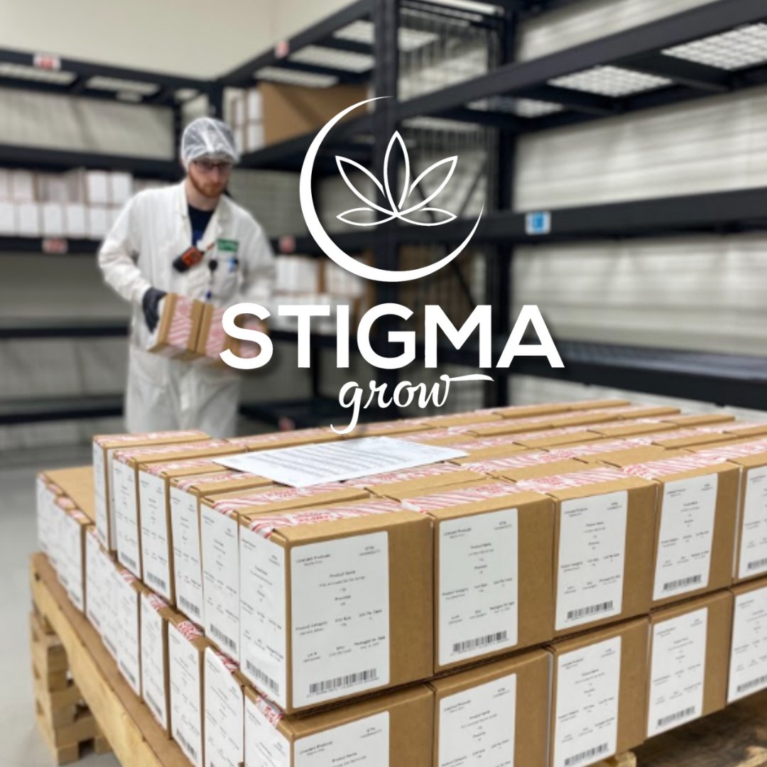 Stigma Grow tweet media