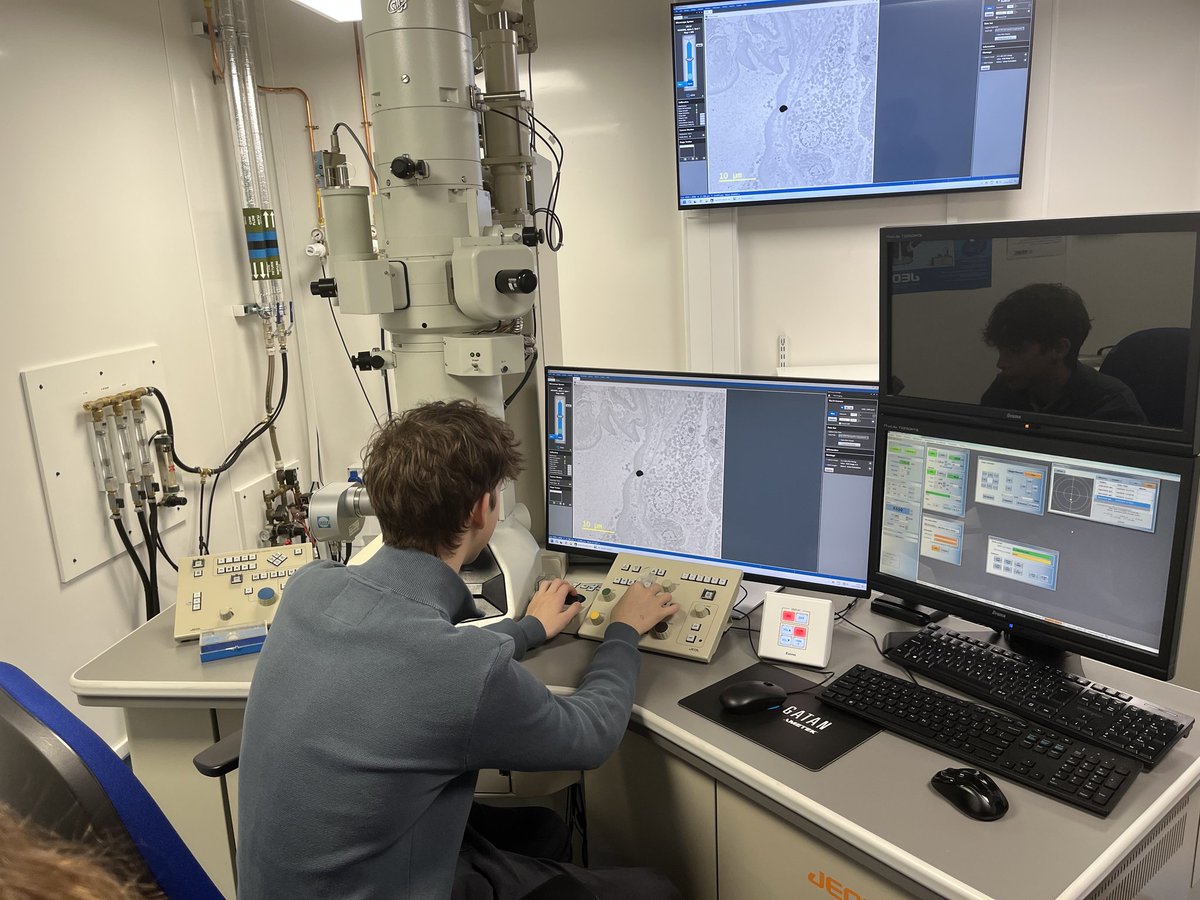 Shebbear College tweet media