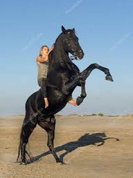 morgan2k21's tweet photo. Fav this post to gain
Retweet to show your followers that we follow back
#TEAMSTALLION ๐
Ifb fast
#FollowFamily https://t.co/nzIiOyw0i6