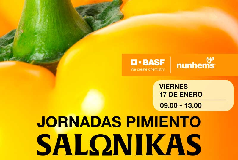 Khalatea's tweet image. 📢Día 17 de enero. Jornadas de #pimiento Salonikas de Nunhems 💛🌶️
agroautentico.com/2025/01/jornad…

@BASF_AgroES