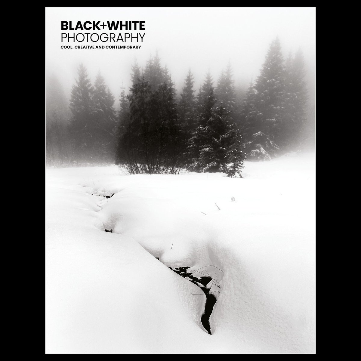 BWPMag's tweet photo. B+W 298 is now on sale! Highlights include: Interview with renowned Mexican photographer Flor Garduño; Jaume Llorens’ poetic diptychs exploring our connection with nature; and @SteveGosling2's pinhole adventures.

Cover © Matthias Conrad

See more at https://t.co/wm5q1HEp1j https://t.co/7Cge5pepcm