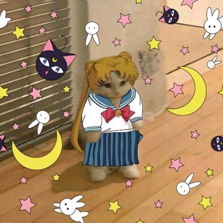anime_'s tweet photo. https://t.co/KIIx5RkM3w