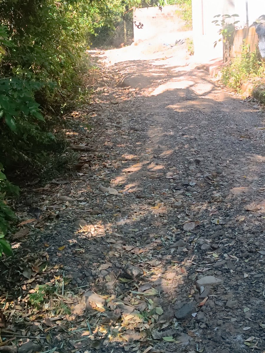 kateEv10's tweet photo. Conocido como la lomita San Jose villa Nueva esta Calle El calvario SE solicita ayuda con esta Calle si pueden realizar la huellas de agua para poder transitar #MilagroNavas https://t.co/87kscd8Rkg