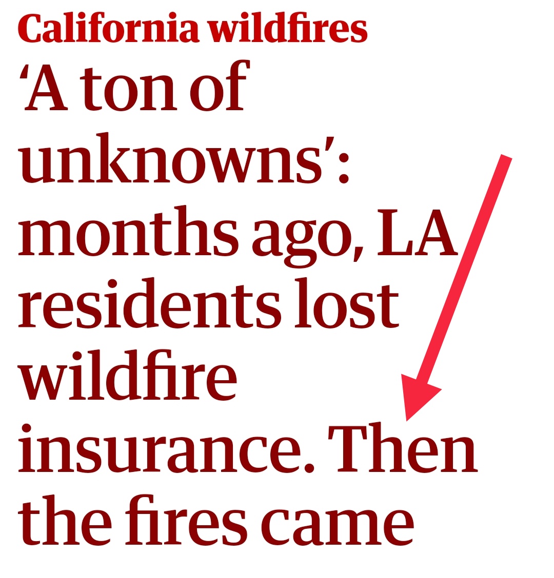 Channing Dutton tweet media