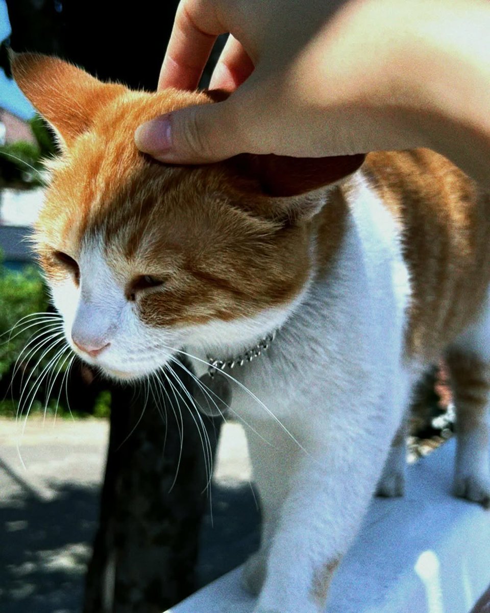 I got a new buddy!  :]