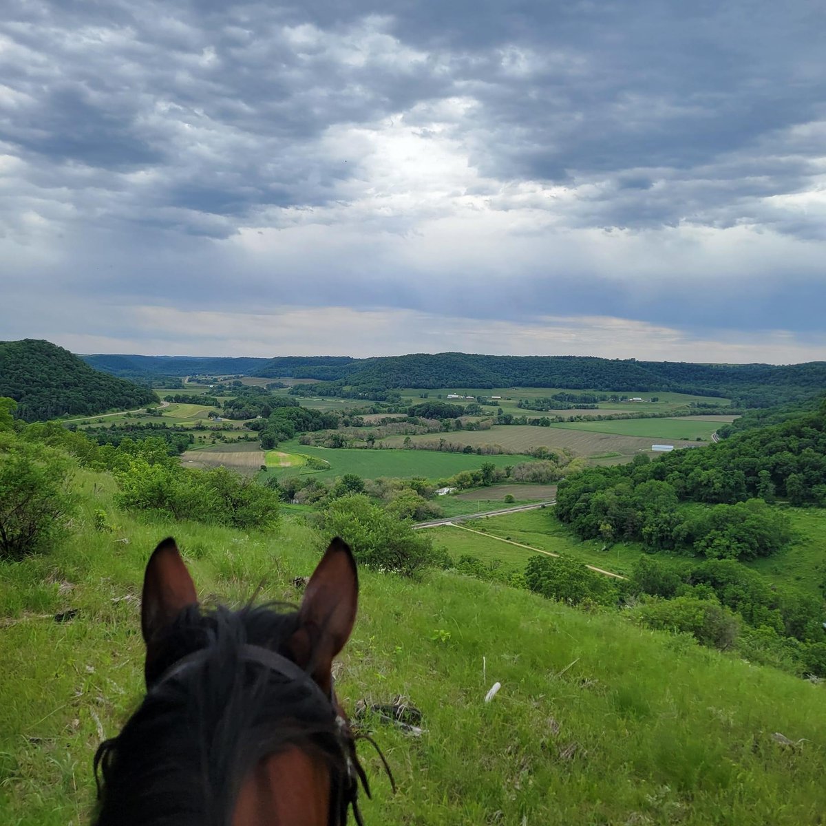 OutbackRanchInc's tweet photo. Experience the magic of autumn by hitting the trails with your equine companion. Discover breathtaking views, crisp air, and the serenity of nature as you bond with your horse this fall. Don't miss out on the perfect camping adventure! #FallCamping #HorsebackAdventures #Nature... https://t.co/yVr8gaBGJ4