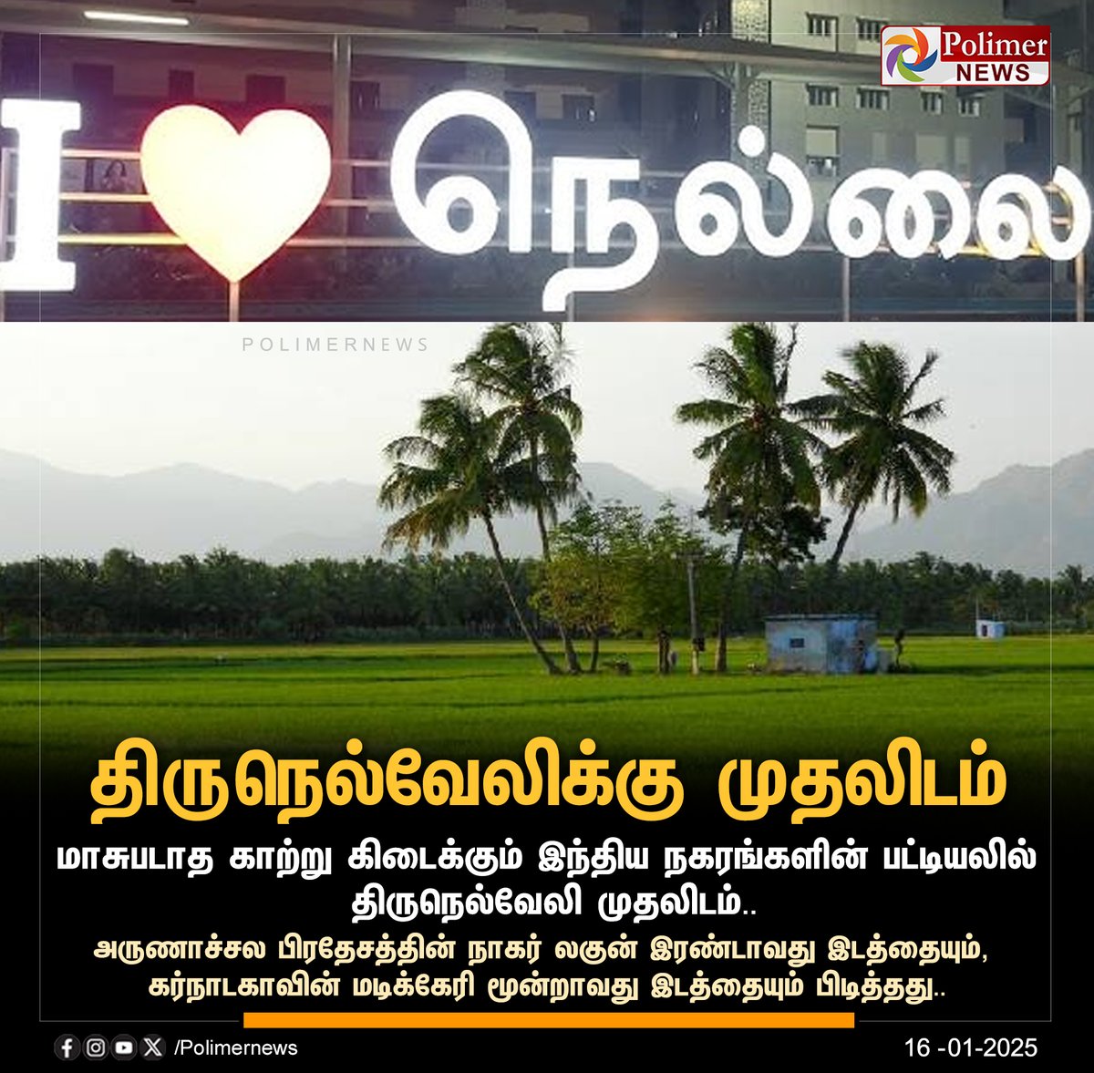 Polimer News tweet media