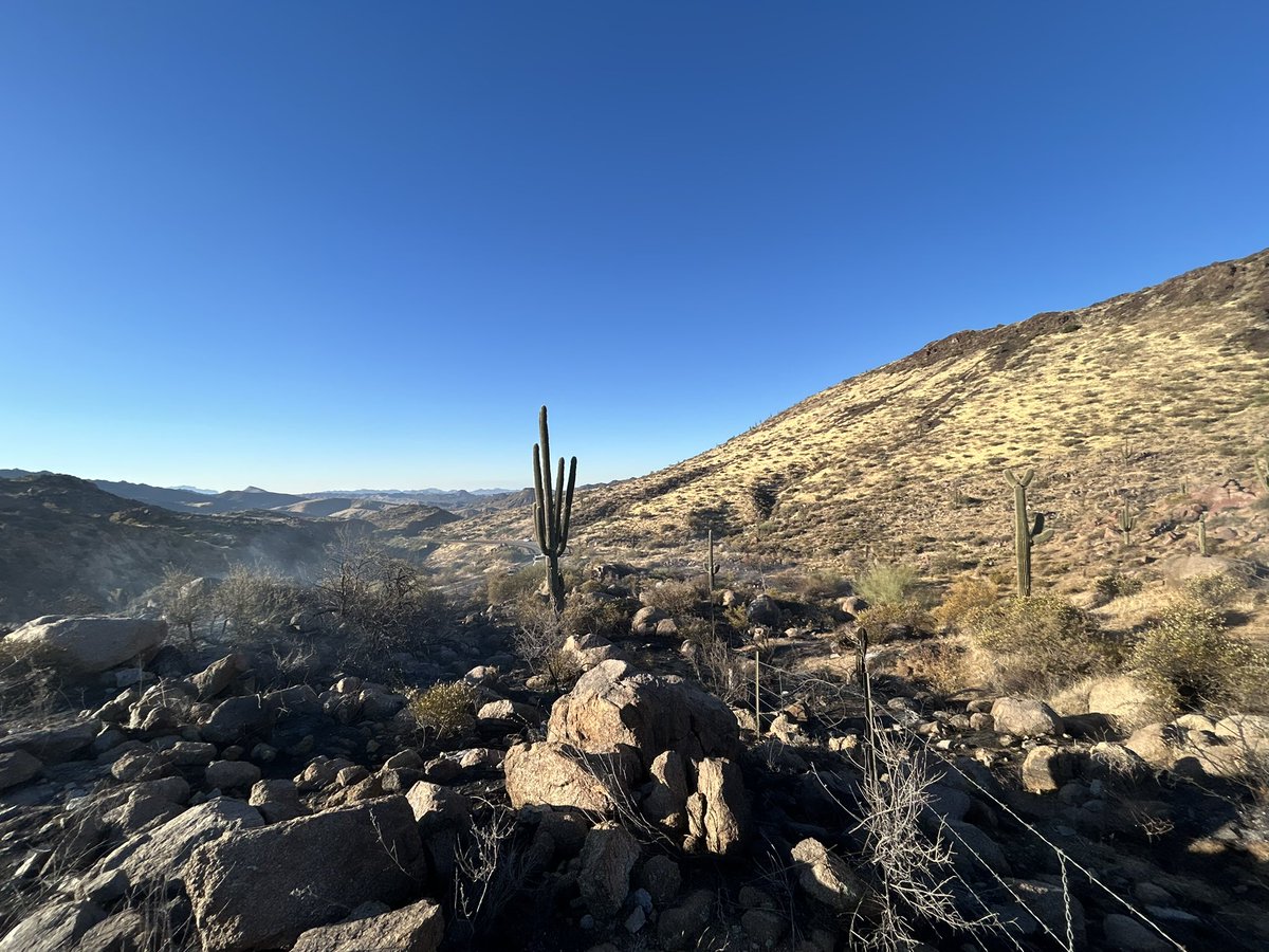 TontoForest's tweet photo. Firefighters are responding to the #RinconFire along SR 87 at MM215. Three engines are on scene along with Dept. of Public Safety. The fire is currently 2 acres and one north bound lane is closed while crews respond. For current road status follow https://t.co/4PbtiXbCyv. https://t.co/JPJ3hmAIj5