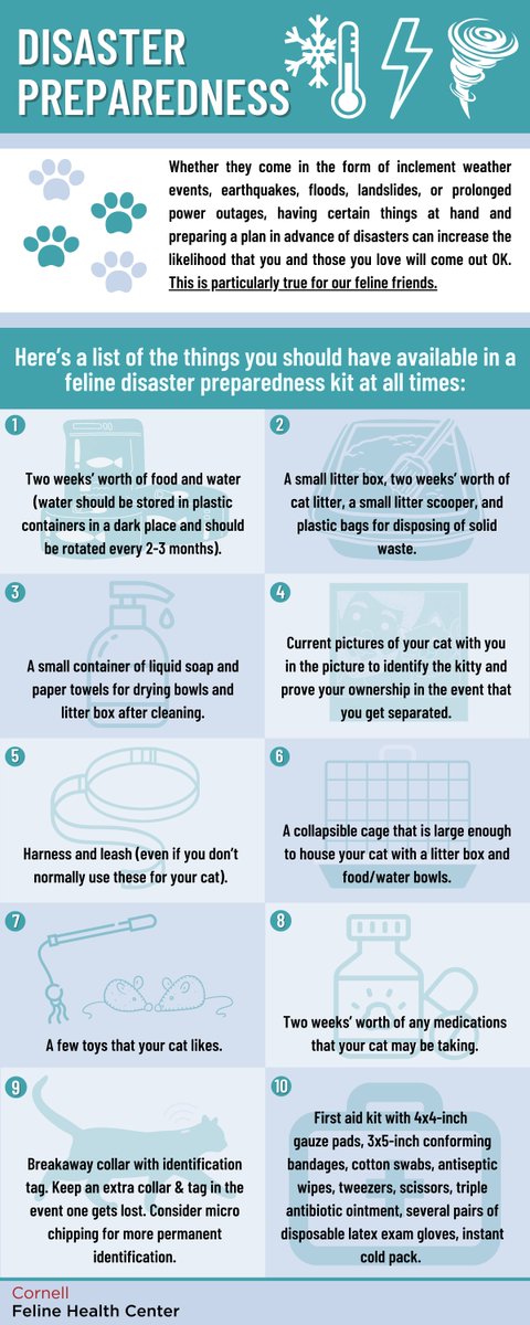 Whether it is inclement weather, wildfires, earthquakes, floods, landslides, or prolonged power outages, having certain things at hand and preparing a plan in advance can help. See the infographic below for details on what to prepare for your feline friends.