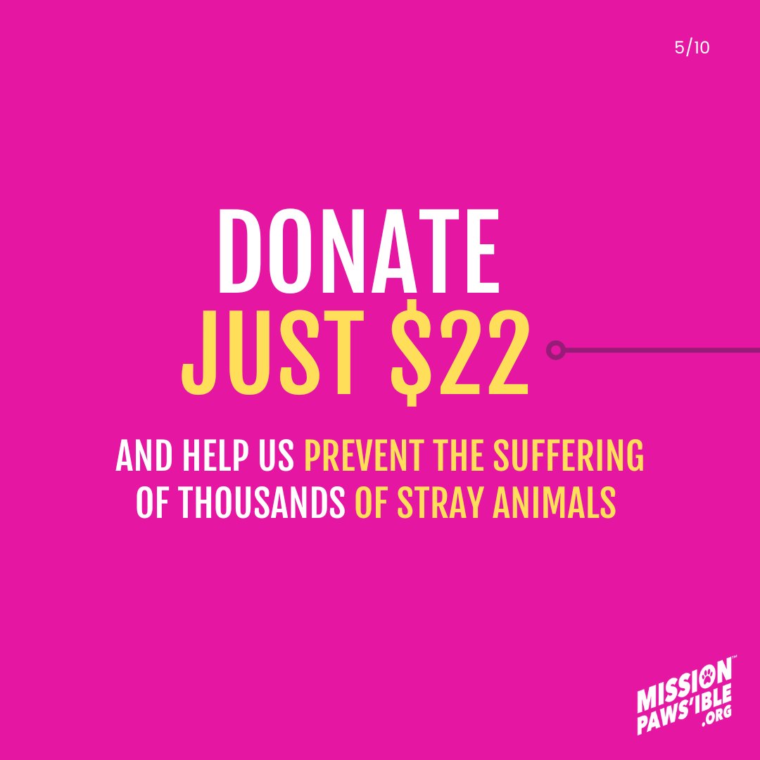 Mission Paws'ible Charity tweet media