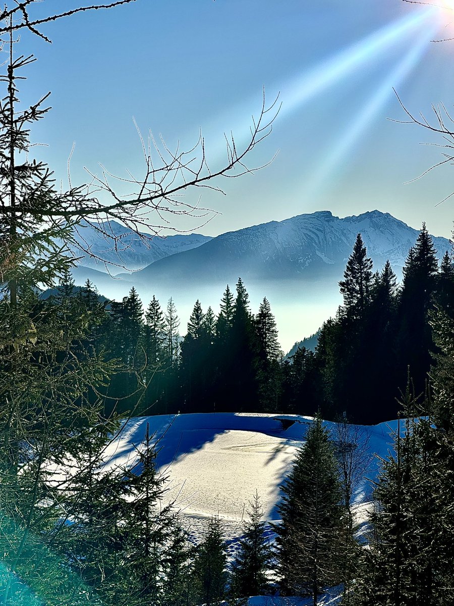 Anne Saville tweet media