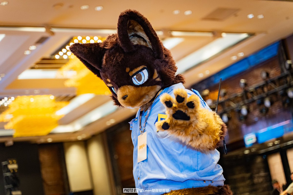 #FursuitFriday 

看什么看，这儿不run许拍照！

📷：<a href="/LeonHHHHHu/">Leon糊糊糊糊糊</a>