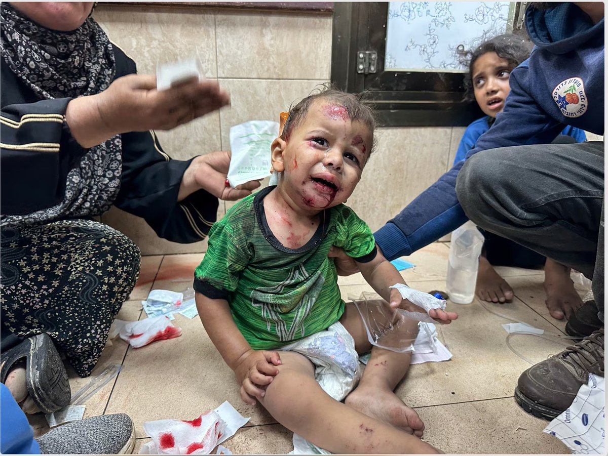 MiquelReal's tweet photo. Diu @NNGG_Es que Gaza és un municipi de la província de València.
I ells són d'una misèria moral difícilment superable.
Ni els importen els 224 valencians morts en la DANA ni els més de 45.000 palestins assassinats (la majoria dones i xiquets) a Gaza. https://t.co/TuwNmhb7jA
