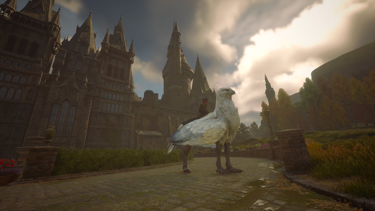 Stef Fox tweet media