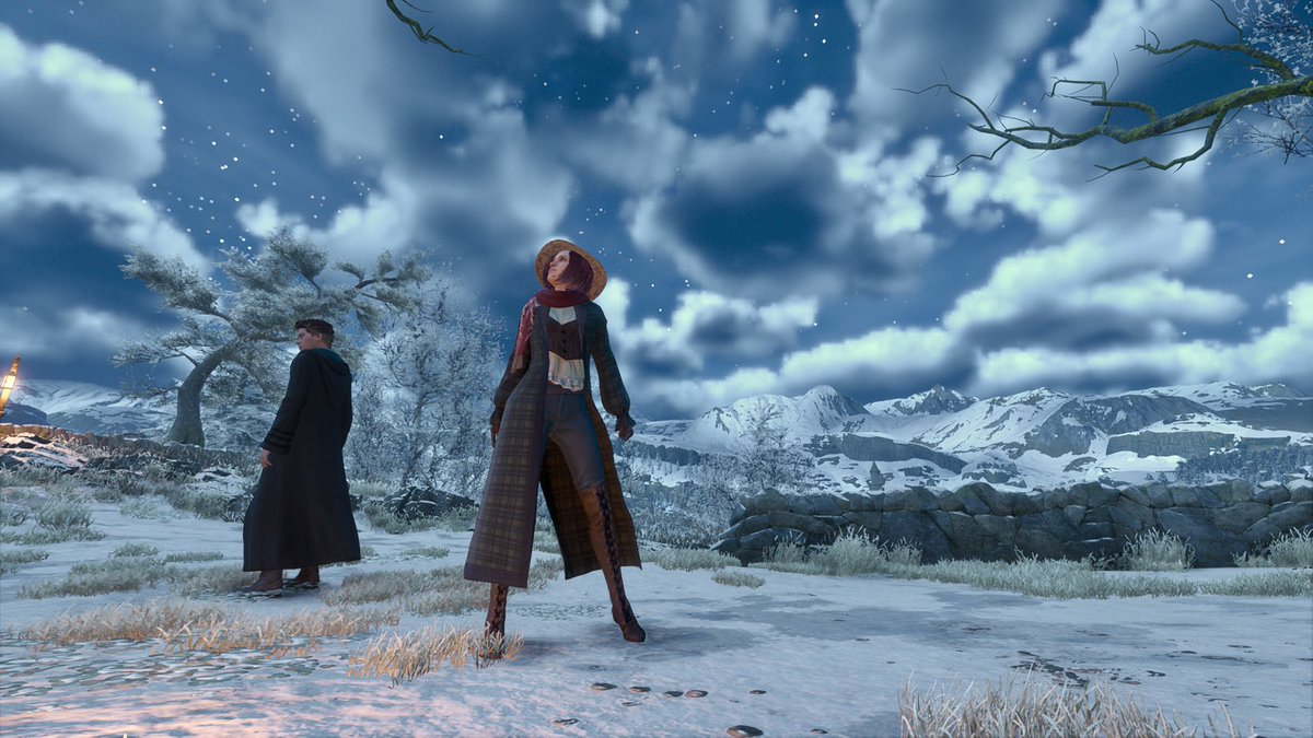 Stef Fox tweet media