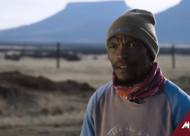 africanfarming_'s tweet photo. Meet Fundile Plaatjie, Chairperson of the Springgrove Number 2 Wool Growers’ Association! 🐑 Since 2015, Fundile has trusted @MolatekSA products to support his journey in wool production. 💪
Watch his inspiring story here: https://t.co/66ytpI3tHt
#AfricanFarming | #Molatek https://t.co/0W9kfWM7cm
