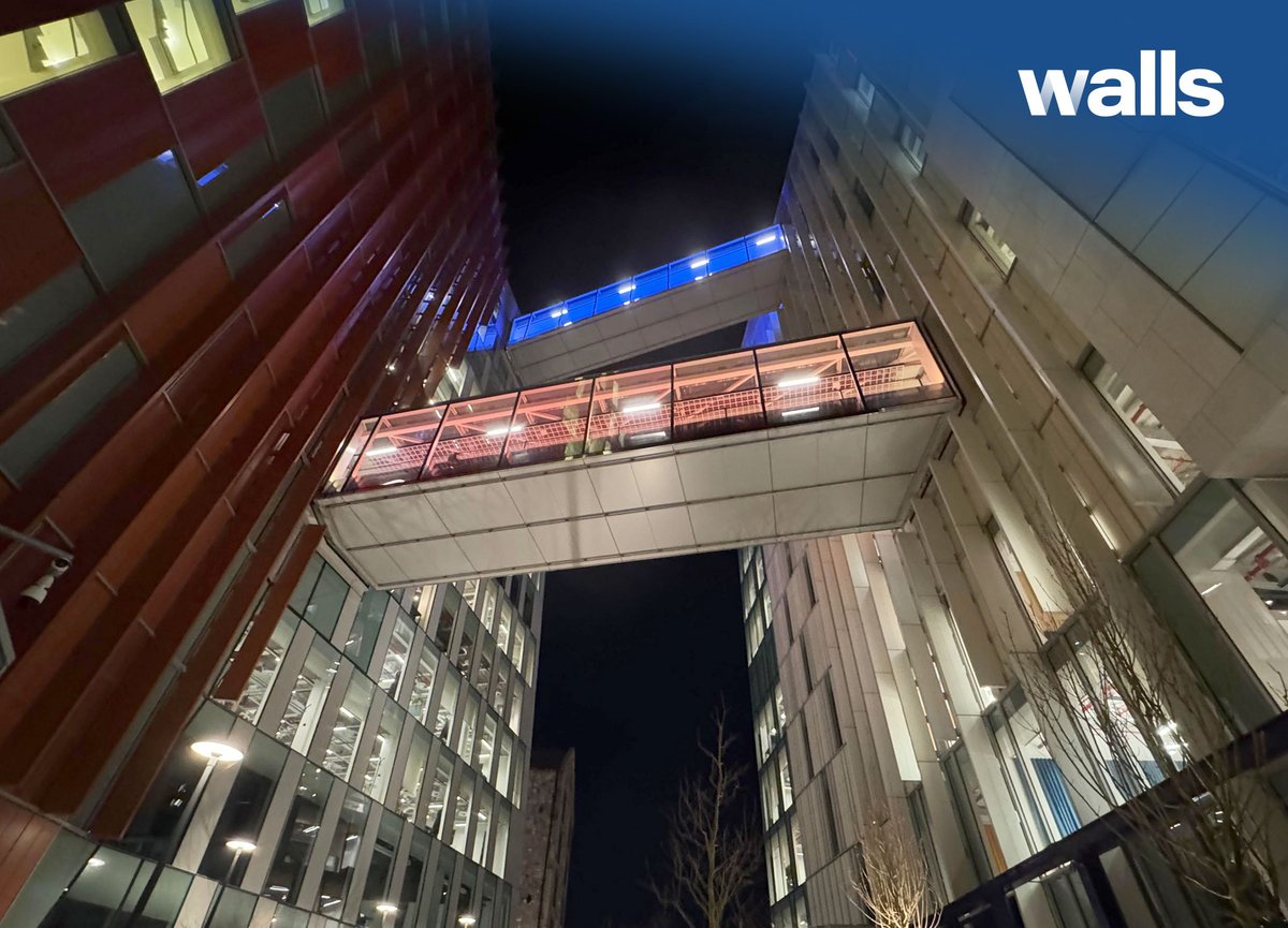 Walls Construction tweet media