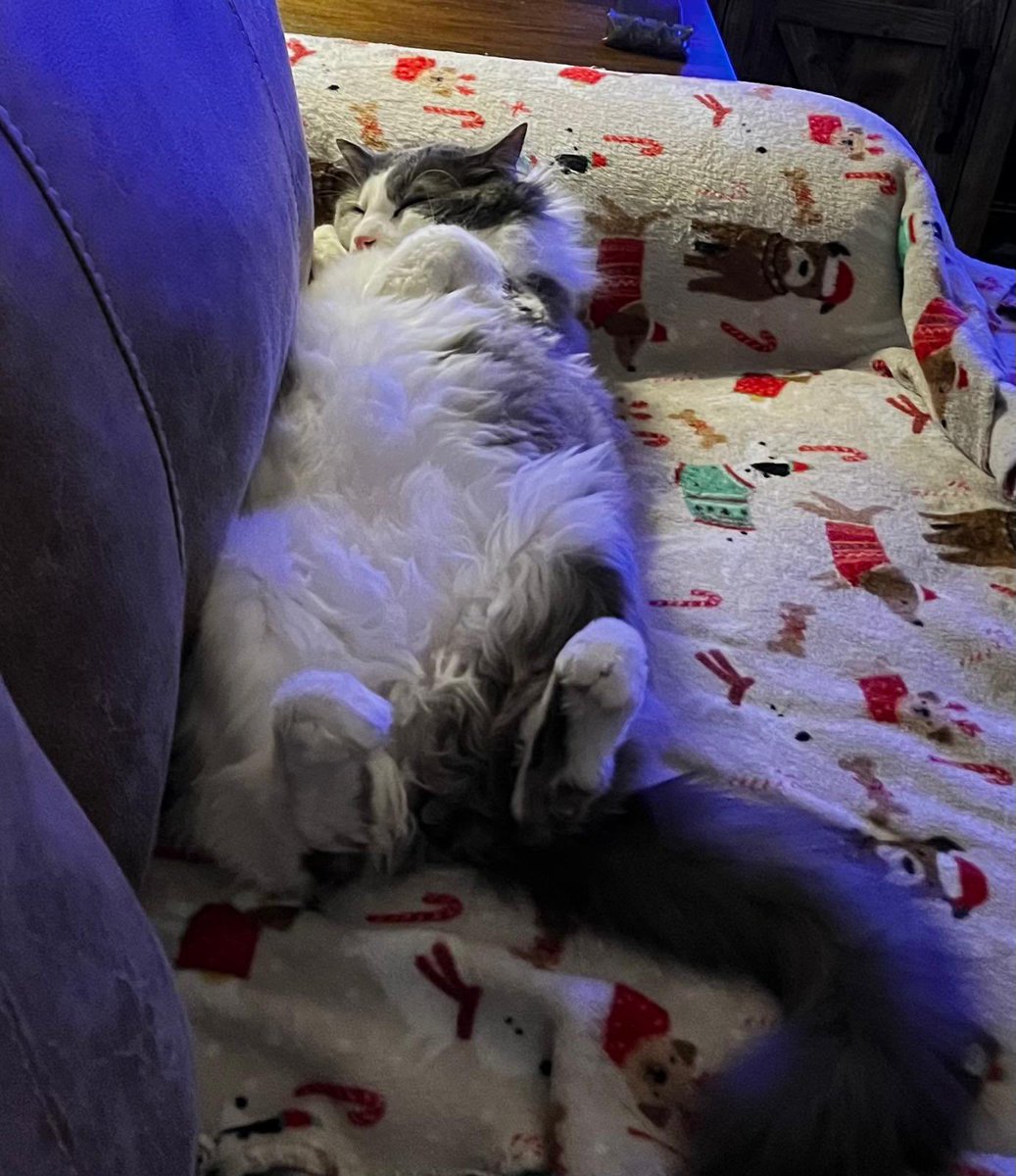 Lisa Sullivan tweet media