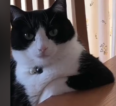 So who capitulated their bags on that dump