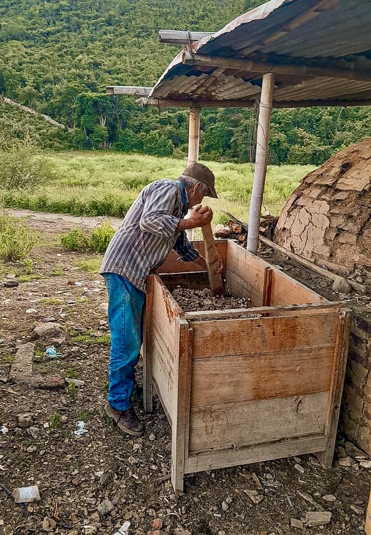 harmanfelipe's tweet photo. Los campesinos del Huila ya están recogiendo sus cosechas de Cacao, en las más de 666 hectáreas de tierra entregadas meses atrás por la @AgenciaTierras a familias rurales víctimas del conflicto armado.

La #ReformaAgraria avanza cuando más campesinos con tierra, tienen garantía alimentaria para sus hogares y los hogares de todo un país.