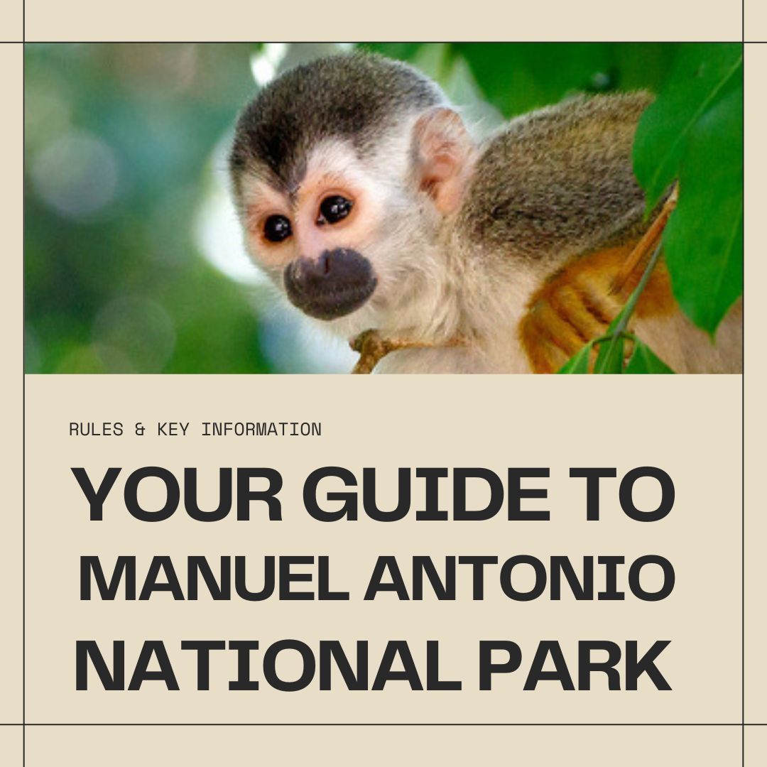 AdventureTourCR's tweet photo. 🗺️ Discover key information and all rules for visiting Manuel Antonio National Park. 🌿 Learn about 🐾 guided tours, 🕒 park hours, 🛠️ amenities, and 📜 regulations. 🌞

Read now: https://t.co/TcN2b3uhMH

#manuelantonio #costarica #nationalpark #travelguide https://t.co/BVNaBW6AQf
