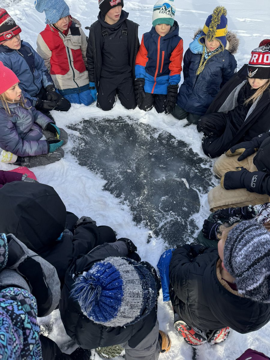 Mara Drill tweet media