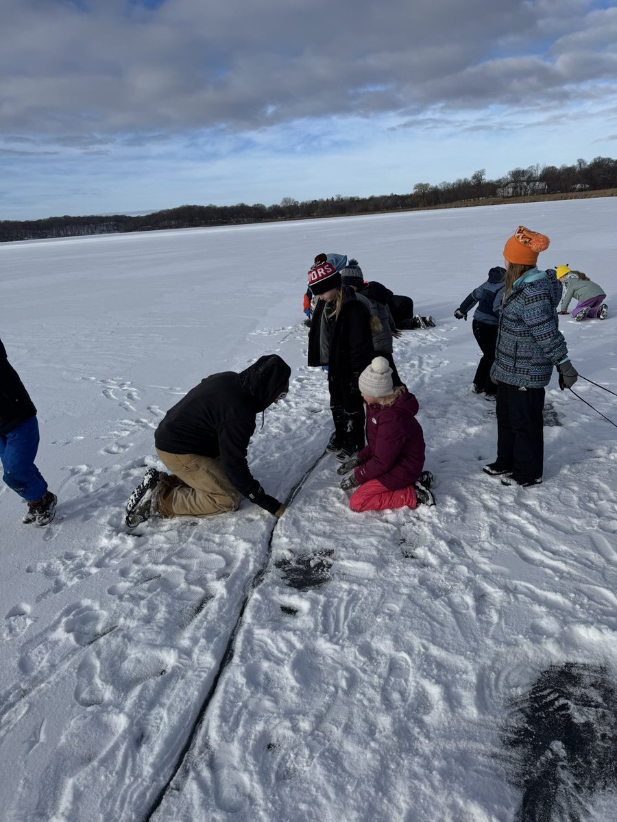 Mara Drill tweet media