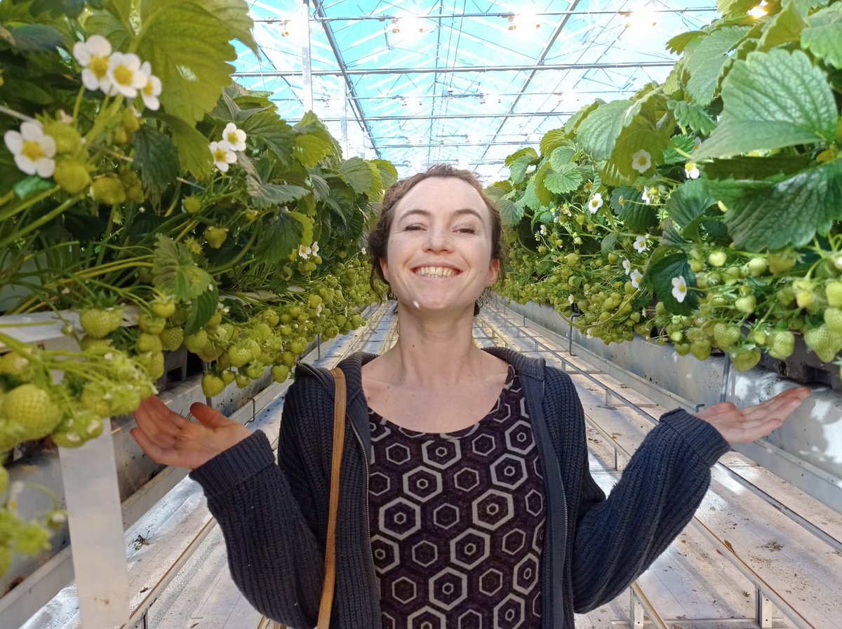 Vertical Future tweet media