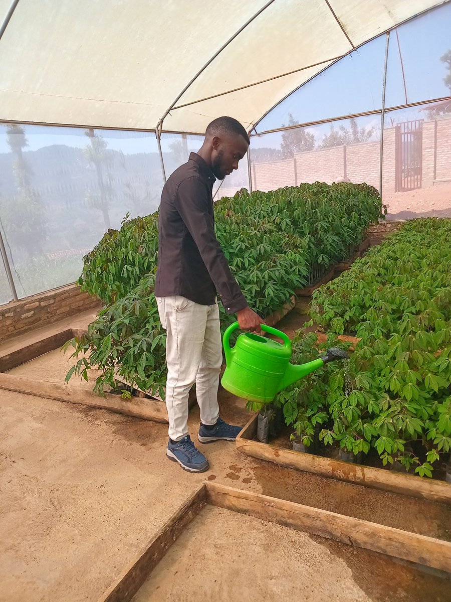 N_SmartFarmer's tweet photo. As human being need water to survive, crops need water also especially those in #ScreenHouse and #GreenHouse because there is no soil to stand in  and update water from.
The key principles of Watering are  that follow:
1. Time of Watering 
2. Watering interval 
3. Watering method https://t.co/PJgsre7uNW