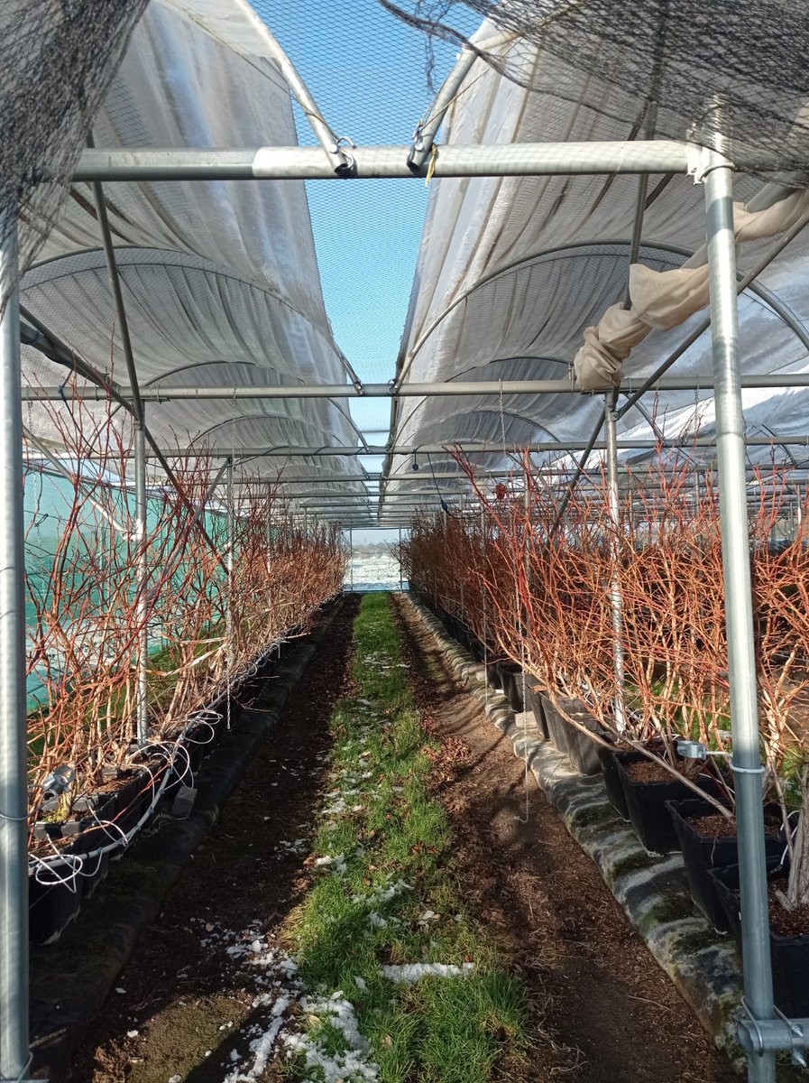 Vertical Future tweet media