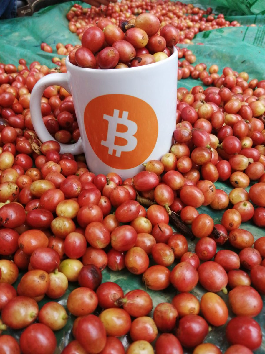 Cherito Specialty BitCafé Roasters 🇸🇻😎☕💊🍊 tweet media