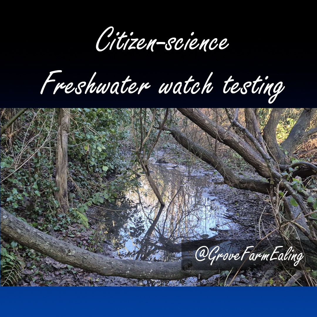 GroveFarmEaling's tweet photo. ๐ We've just completed our 12th water survey since starting last year! All ponds/streams had water, but 1 site showed raised phosphate & nitrate levels again. More work ahead to protect our ecosystems! ๐ฑ
Working with
@Earthwatch_Eur
#ChangeX #Microsoft #friendsofgrovefarm https://t.co/HO7YhTe7Xx
