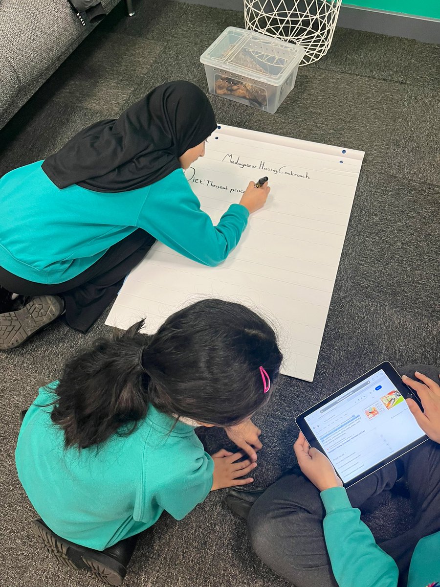 IqraPrimaryA's tweet photo. Science Club: biology and zoology. Exploring habitat and care of Malaysian Nymphs and Giant Hissing Cockroaches #primarySTEM #enrichedcurriculum https://t.co/UqGf66wPJC