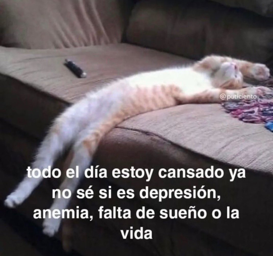En Júpiter (@en_jupiter_) on Twitter photo 
