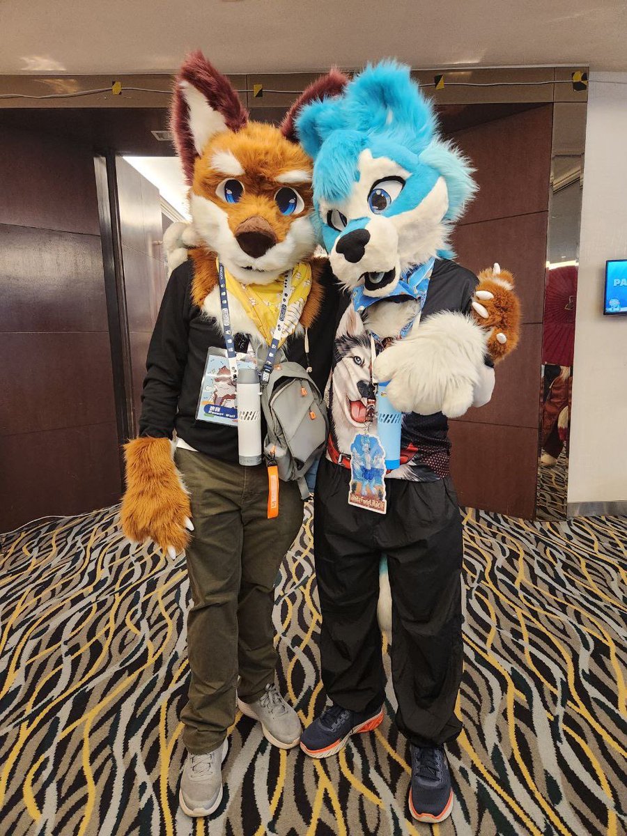 WhiteFangLilWo1's tweet photo. Happy fursuit Friday! Finally manage to have a chance to photo with u and post here @RouweiWolf ! Photo taken by @irvparkie #fursuitfriday #furry #fursona https://t.co/7J6GxPvsEs