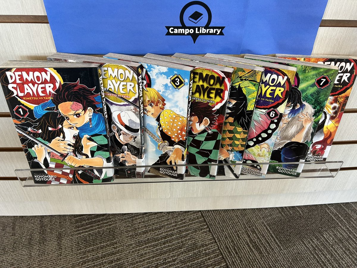 Thank you Lizzie! People are loving the Demon Slayer set you donated.