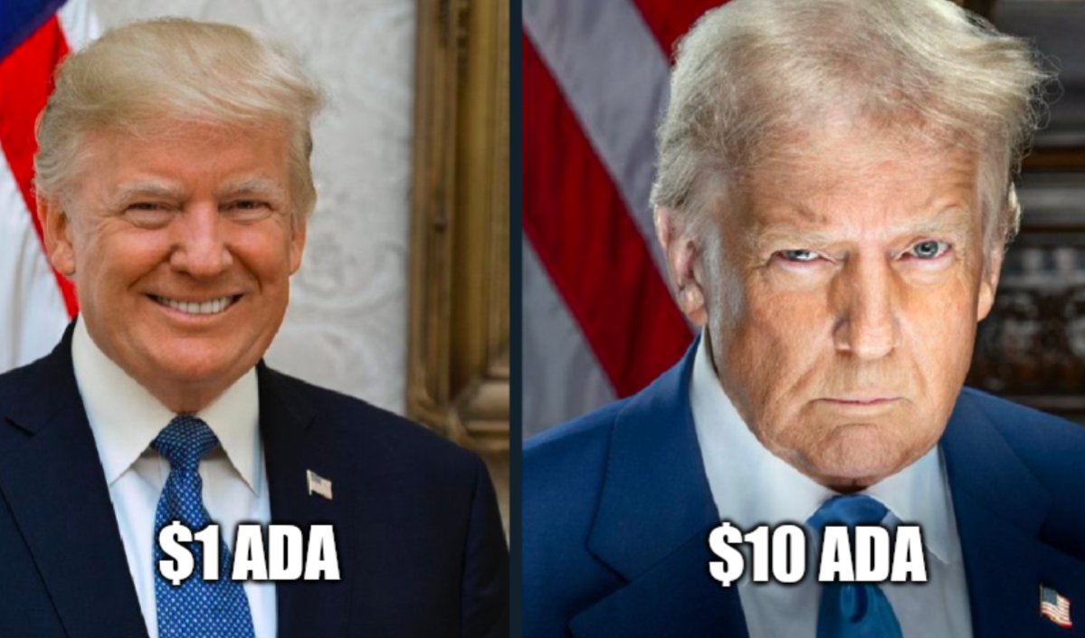 Tobias Fancee tweet media