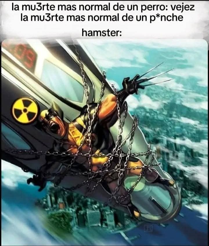Una hormiga que mira tu post 🐜 tweet media