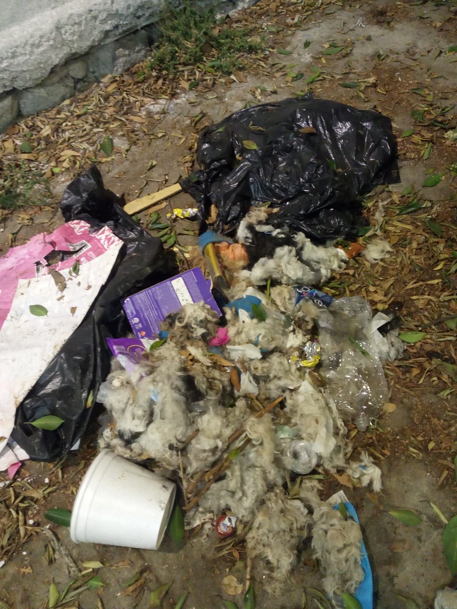 AriesRendon's tweet photo. Desde que llego @mauriciotabe mi colonia a ido cada vez peor. Urge limpia y operativos para cerdos que tiran basura en vía pública. A lo largo de toda la barda Saima-cañito. @MHcesac @MHdenuncia @ClaraBrugadaM @LuisaAlcalde @Radio_Formula https://t.co/OkFnGNMt3e