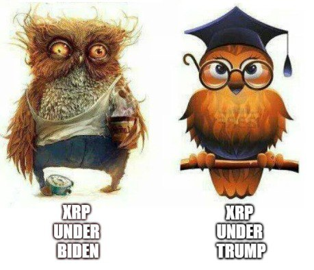 Leonidas tweet media