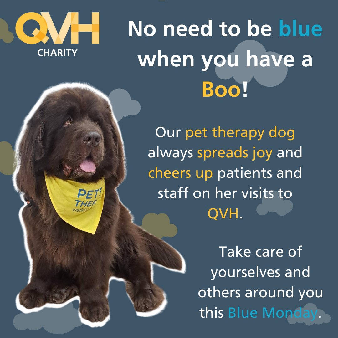 No need to be blue when you have a Boo! 🐶

Today may be #BlueMonday but our pet therapy dog Boo always spreads joy when she visits the hospital, cheering up both patients and staff.

What’s getting you through Blue Monday?

#PetTherapy #MondayMotivation