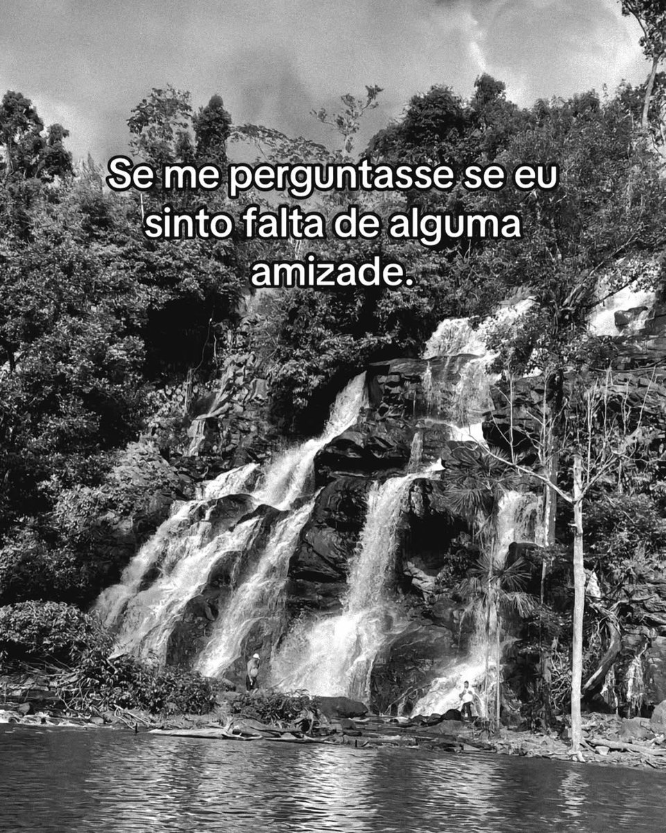 PODE IR DIZENDO PIRANHA tweet media