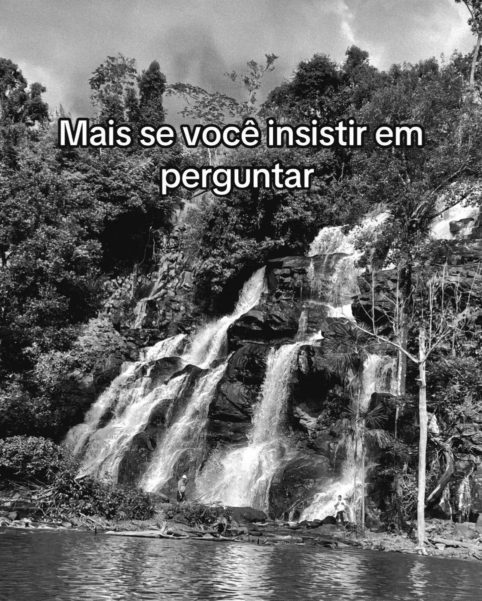 PODE IR DIZENDO PIRANHA tweet media