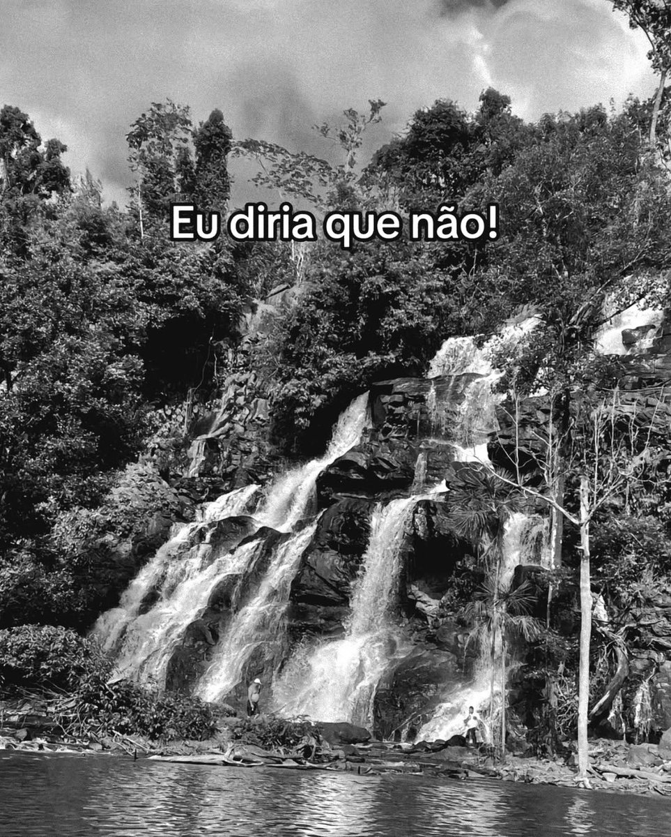 PODE IR DIZENDO PIRANHA tweet media