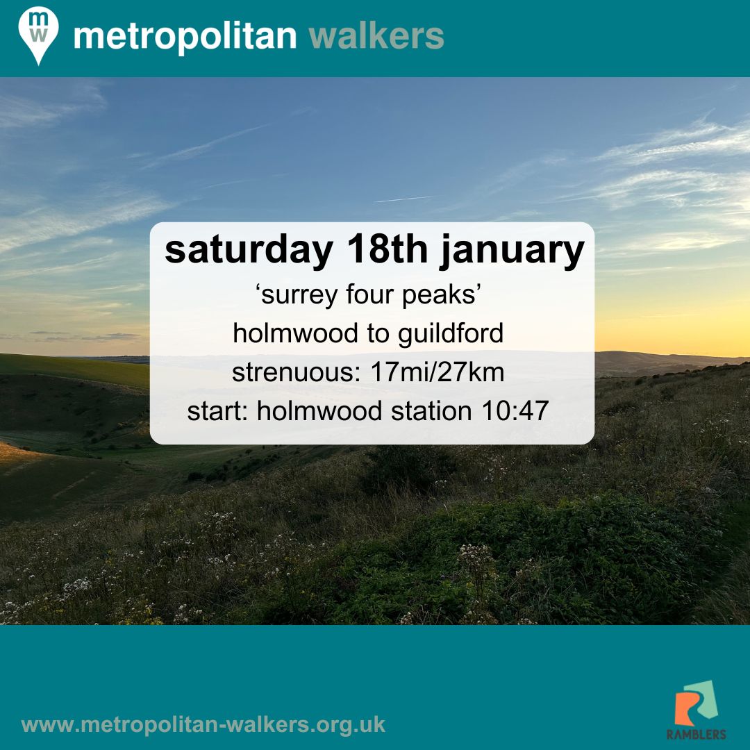 Metropolitan Walkers👣 tweet media
