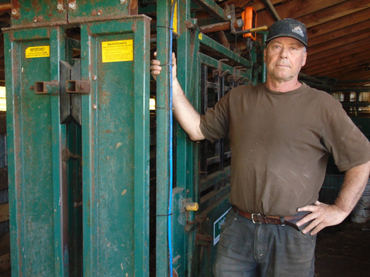 PEI Agriculture (@aginfopei) on Twitter photo "“When we have a vet in to do herd health,
they always comment about how smooth the
process is with the handling system we have now"" Glen Campbell. princeedwardisland.ca/sites/default/… #SustainableCAP" <a href="/AAFC_Canada/">AAFC Canada</a> #SustainableCdnAg "“When we have a vet in to do herd health,
they always comment about how smooth the
process is with the handling system we have now"" Glen Campbell. princeedwardisland.ca/sites/default/… #SustainableCAP" <a href="/AAFC_Canada/">AAFC Canada</a> #SustainableCdnAg