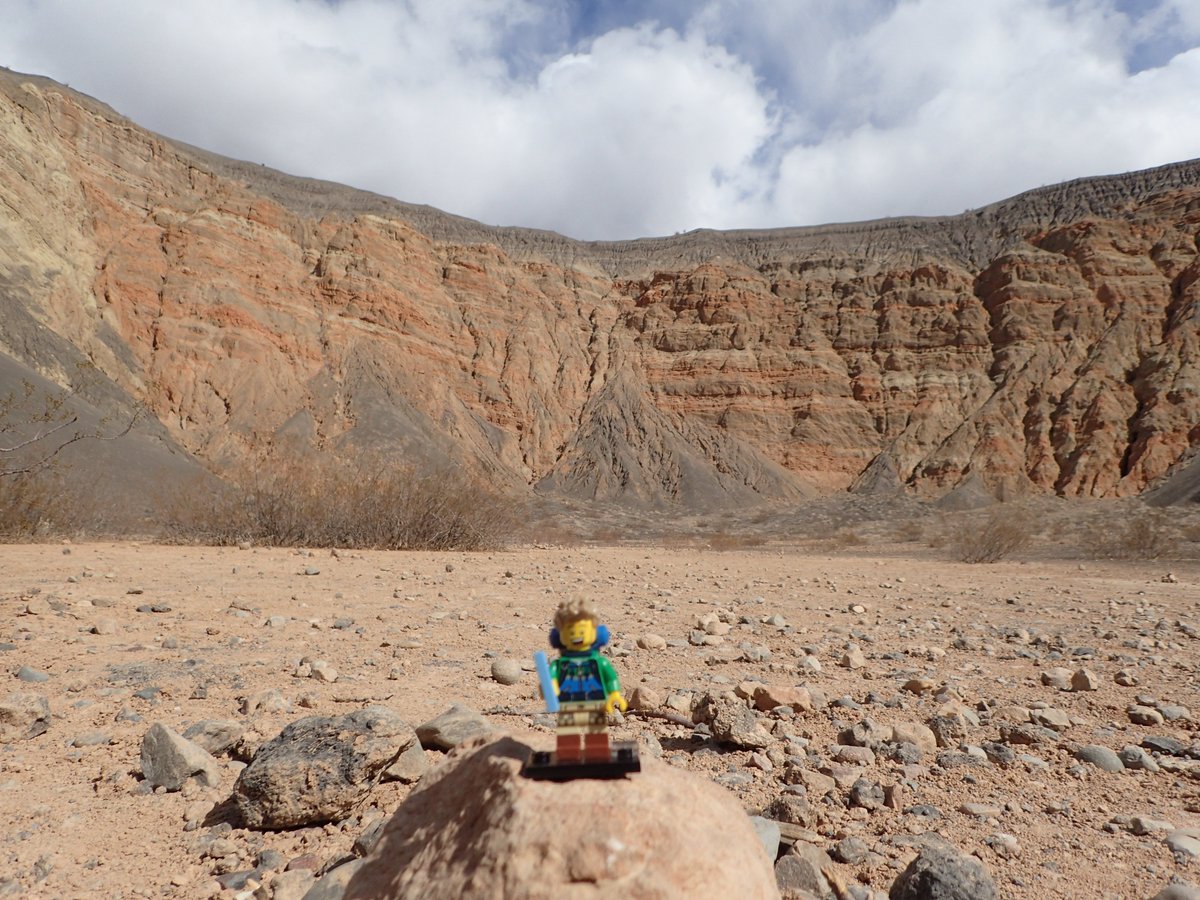 Backmandy tweet media