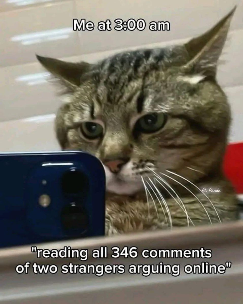 BillyM2k's tweet image. 