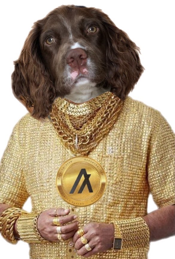hi_bramble's tweet photo. When $Bramble token bonds, there will be signs 🐶😝 https://t.co/ALpCiCIwgm