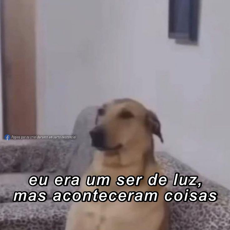 Terror do Cotidiano (@terrorcotidiano) on Twitter photo 